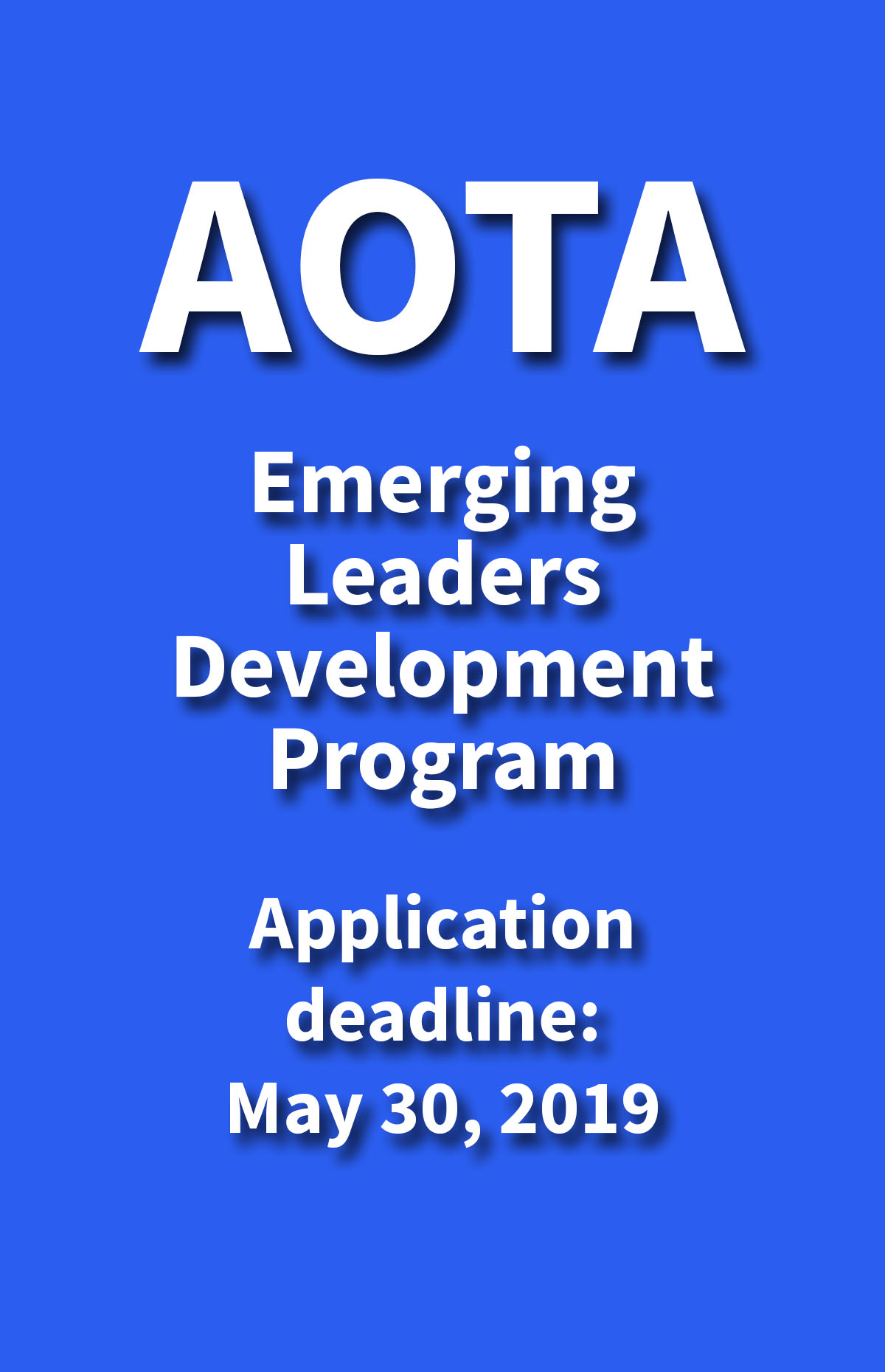 AOTA's Emerging Leaders Development Program