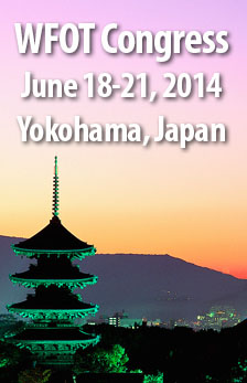 Program Faculty, Alumni and Students to Present at WFOT in Yokahama, Japan